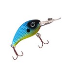 Arkie Lures 350 Crankbait 60 Piece Bundle