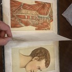 Physicians Anatomical Aid 1800s Early 1900s   Plenty Of Wear