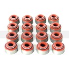 Head Gasket Timing Belt Kit Water Pump Serpentine For 02-05 Subaru Forester 2 5l