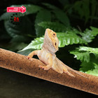 Pinvnby 2 Pcs Reptile Branches For L 15 75   lx1 65   wx1 65   h  Primary Colour