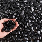 Black Pebbles For Plants 3lb Bulk Bag 0 5 - 1  Aquarium Gravel Decorative Pol   