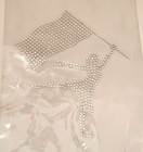 Color Guard Set Of 2 Rhinestone Iron On Transfer Hot Fix Bling Sports School