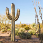 Desert Steel 5  Saguaro Garden Cactus Statue And Tiki Torch  21   w X 60   h X 8   d