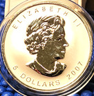 2007 Canada  5 1oz  9999 Silver Maple Fabulous 12 Privy Gem Bu