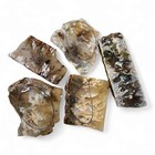 Plume Agate Slabs Oregon 176 7 Grams 