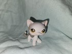 Littlest Pet Shop  lps  Grey And White Shorthair Cat  138 Authentic