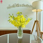3 Branches Mokara Yellow Orchidaceae Yellow Color