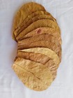 Catappa  Indian Almond Leaves ketapang For Fresh Water Fish Natural Tannins Sou