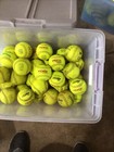 Softballs-trump Rock Yellowslow Pitch 30 Slow Pitch   Good Condition  44 Cor