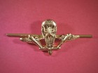 1x Pair - Soviet Russia Airborne Troops Insignia