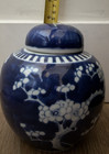 Vintage Chinese Blue White Porcelain Ginger Jar Prunus Blossom With Lid 6 - Ds15
