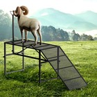 Goat Milking Stand  Adjustable Milking Stand With A Ramp For Sheep And Goats