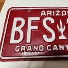 1990 s Arizona Classic Maroon Cactus License Plate   unused  