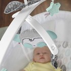 Baby Bedside Sleeper Bassinet Soothing Motions Lights Music Fisher Price Mobile