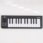 Korg Microkey 25 Key Usb Midi Keyboard Controller Velocity Sensitive Arpeggiator