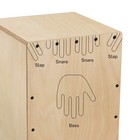 Cajon Box Drum percussion Instrument Full Size Stringed With Bag  Birchwood Beat