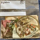  21 Antique Victorian Lot Lovely Die Cuts  Scraps For Display Or Scrapbooking