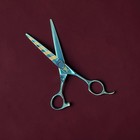 Crisp Geometric Blunt Cut Hair Shears Scissors 6 0  Teal Blue Titanium Tc07600