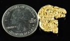  527 Alaskan Bc Natural Gold Nugget 5 98 Grams Genuine
