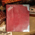 Handsome English Leather Document Desk Folio Folder Antique Sterling Silver
