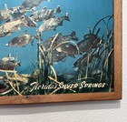 Silver Springs Florida Bruce Mozert Photograph Art Framed Poster Vintage