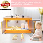 Chick Brooder Box For Chicks  Quail Brooder Box Kit With Heater Feeder