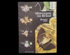 Bats Mammals Brazil 2010        Flederm  use Geggja  ur              - Mint