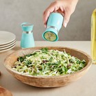 2 Pieces Set Teal Stainless Steel Salt And Pepper Shakers With Glass Bottom