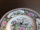 Rose Canton By Famille Rose Birds And Butterflies 8 3 8  Rimmed Soup Bowl