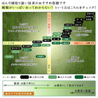 Matcha Marukyu Koyamaen Green Tea Isuzu Aoarashi Wakatake Ayame Wako Japanese