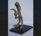 Velociraptor Foot Replica     Museum Quality Dinosaur Display Mount