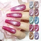 10 Colors Holographic Glitter Cat Eye Gel Nail Polish Set With Base   Top Coat -