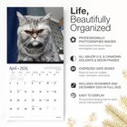 Red Ember Crabby Cats 2026 Wall Calendar 12 Month   New 2026  10 