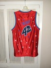 Platinum Fubu Harlem Globetrotters  42 Twiggy Sanders Basketball Jersey Kids Lrg