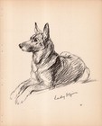 1940 Vintage German Shepherd Print Wall Art Decor Lucy Dawson Illustration 6614p