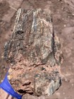 Big Chunk Of Petrified Wood With Colorful Agate And Texture    