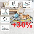 Orthopedic Elevated Dog Bed With Bolster Raised Pet Cot Breathable For All Dogs