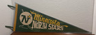 Vintage Hockey 1970 Minnesota North Stars Full-size Pennant W  Tassels  Sleeve