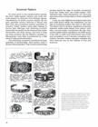 Fred Harvey Silver   Turquoise Vintage Indian Jewelry Collector Guide 1900-1955
