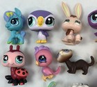 Littlest Pet Shop Lps Hasbro Bundle Figures With Accessories Collection Anima   