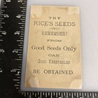 Musk Melon Kids Enjoy Giant Slice 1880 s Trade Card