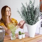 12 Pcs Dried Eucalyptus Stems For Shower - 17  Preserved 12pcs  Green 