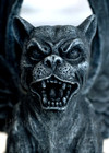 Winged Lioness Gargoyle Guardian Statue Figurine  stone  Gothic Excellent Detail