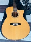Acoustic Electric Guitar With Eq Pickup   Soft Case     Cutaway Style     Used
