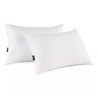 Serta Perfect Sleeper Comfy Sleep Bed Pillow  2 Pk Standard queen 20  X 28 