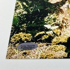 Hamil  Ford  baker Signed Photo Autographed 8x10 Star Wars Coa Hologram