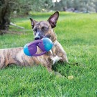 Kong Jumbler Medium Large Multi Pet Toy Interactive Squeaky Tennis Ball