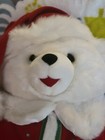 Dan Dee Collector s Choice  Boy Snowflake Teddy 2005 Christmas Bear Plush 20 