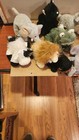 23 Pc Lot Of Webkinz Plush Toys