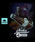 Displate Fallout   nuka Cherry Girl   limited Edition - X 1000 Fast   Safe Shipping